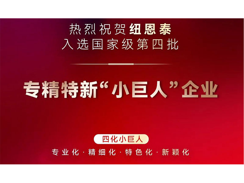 热烈祝贺betvlctor网页版登录入榜国家级专精特新“小巨人”企业名录