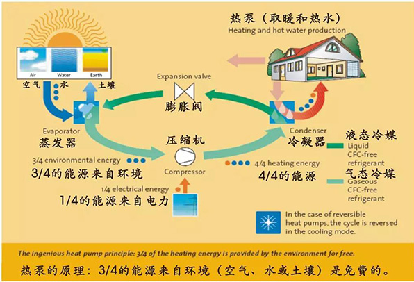 betvlctor网页版登录(中国游)·伟德官网